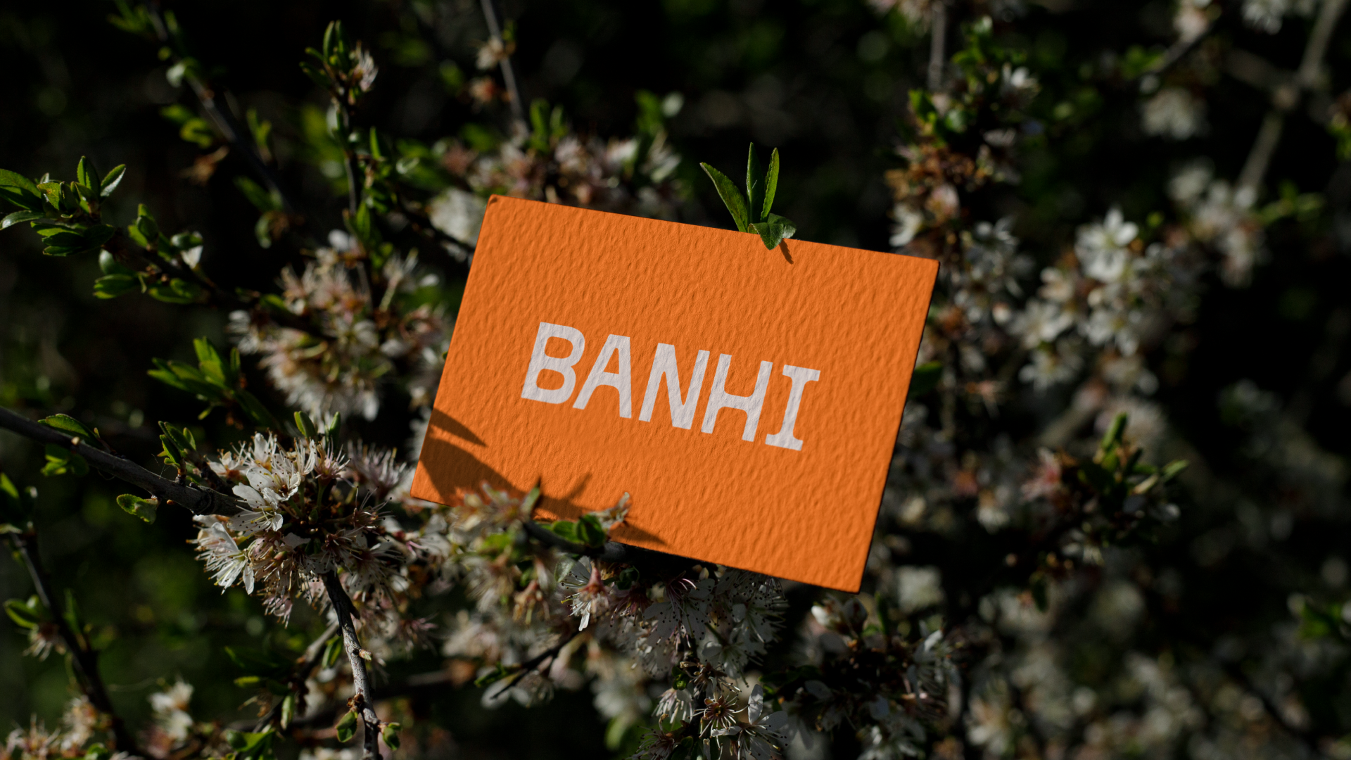 heels-make-deals-banhi-visual-identity-9