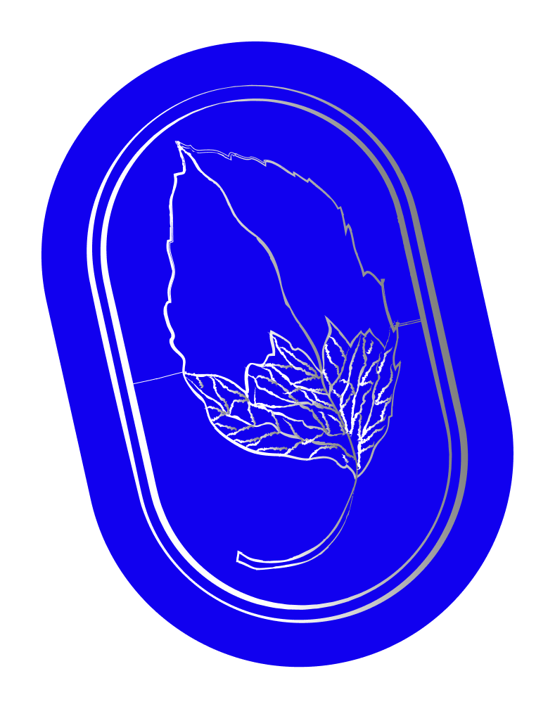 heels-make-deals-pyratine-symbol