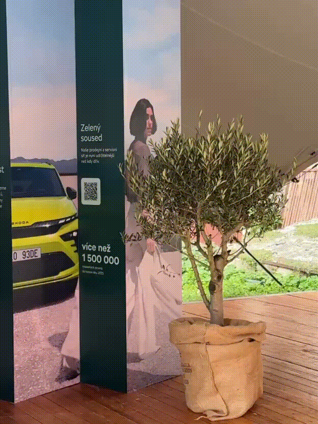 heels-make-deals-skoda-lavrs-market-activation-olive-tree-2