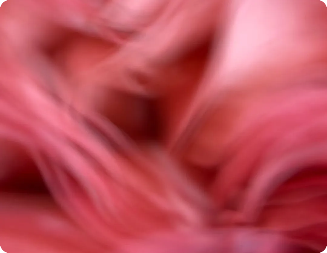 heels-make-deals-virtual-objective-3