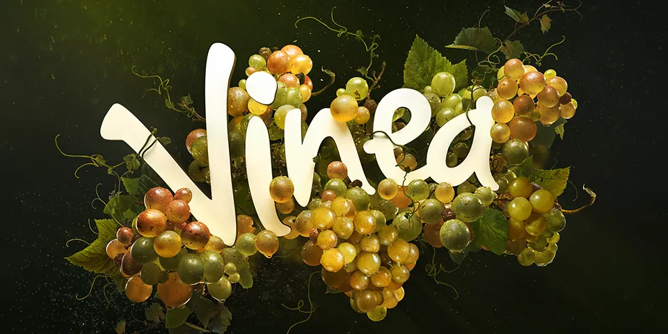 vinea_zelena-mensi_a