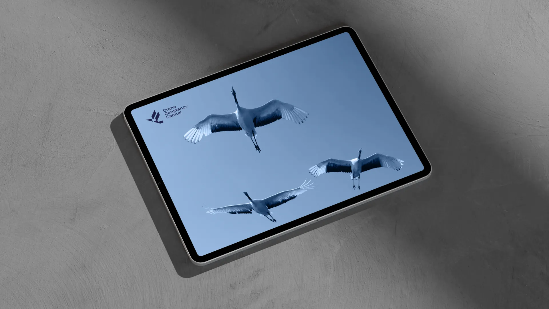 heels-make-deals-crane-branding-carousel-11